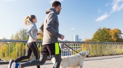 Hacer deporte con tu perro: tipos, beneficios y consejos