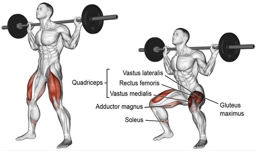Técnica y músculos de la sentadilla